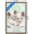 thumbnail image 3 of Keith Kimberlin - Kitten 09 Wall Poster, 22.375" x 34", Framed, 3 of 6