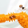 thumbnail image 5 of BotaniNest Chew Indestructible Rubber Toothbrush Chew For Aggressive Chewers Tough Teeth Cleaning Stick For Small Medium And Large Chew For Aggressive Chewers Rubber Teething For Puppies, 5 of 5