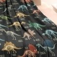 thumbnail image 3 of Black Cartoon Dinosaurs Infos Pattern Blanket,Comfortable Soft Flannel Throw Blanket,All Season,Warm Lightweight Blankets for Sofa Bed Couch Living Room Chair,30"x40", 3 of 4