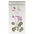 thumbnail image 5 of This Moment Perfumed Reed Diffuser, 5 of 6