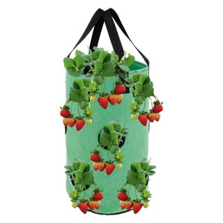 Hanging Grow Bags Multi-port Strawberry Bag Strawberry Potted Garden  Vegetable Planting Bag Gardening Seedling Plant Growth Bag, Pots, Planters  & Container Accessories - Temu