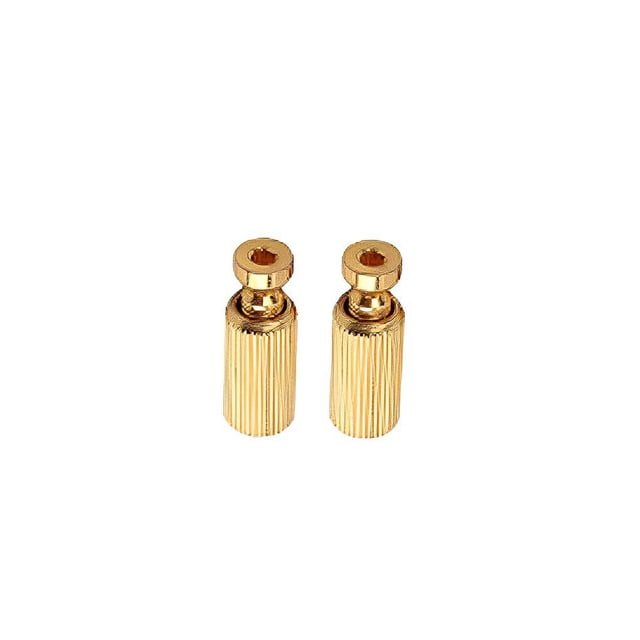 facefd 2 Pcs Clous de Pont Tremolo Réglage Élévateur Vis Pièces de Rechange Outils de Réparation Vis de Levage