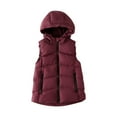 thumbnail image 2 of AUNVITO Thermal Warmth Heavyweight Cotton Hooded Vest for Boys & Girls 3-12Y, Sleeveless Zip Pocket Winter Outdoor Casual Jacket, 2 of 6