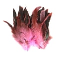 thumbnail image 1 of 50pcs Plumas Artesanales Baoblaze Plumas de Gallo 12-18cm 7 Colores Rosado, 1 of 8