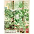 thumbnail image 3 of Vintage Apple Collection 15x18 Black Modern Framed Museum Art Print Titled - palms, 3 of 5