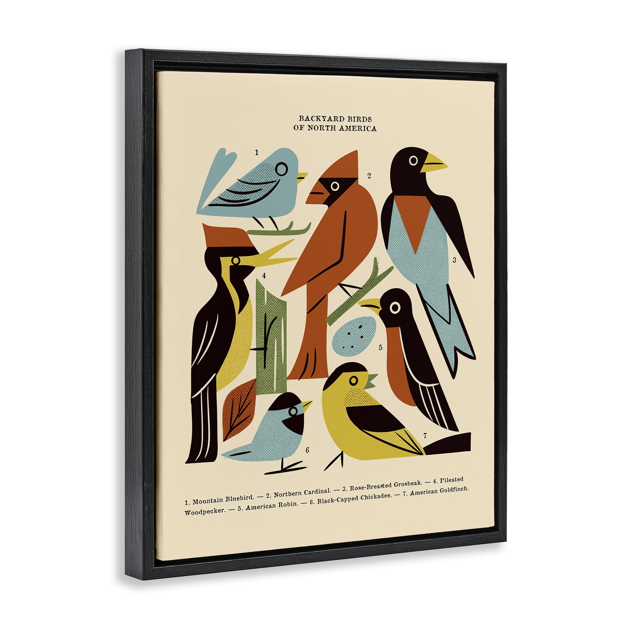 Backyard Birds Midcentury Modern Black Framed Floater Canvas Wall Art, design by Renea L. Thull