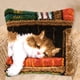 thumbnail image 4 of 2 paquetes de kits de de pestillo para bricolaje, funda de almohada para sofá, funda de cojín, gato, perro con impreso de 16X16 pulgadas BLESIY  Kits de ganchos de pestillo de cojín para animales, 4 of 8