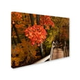 thumbnail image 2 of Trademark Kurt Shaffer "Brilliant Autumn Stairway" Gallery-Wrapped Canvas Art 18" x 24", 2 of 3