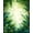 Green, Pattern 1, variant on ODIKA 4' x 6' Machine Washable Non-Slip Area Rug, Tropical Split-Leaf High Traffic Rug, Lime Green, 280933