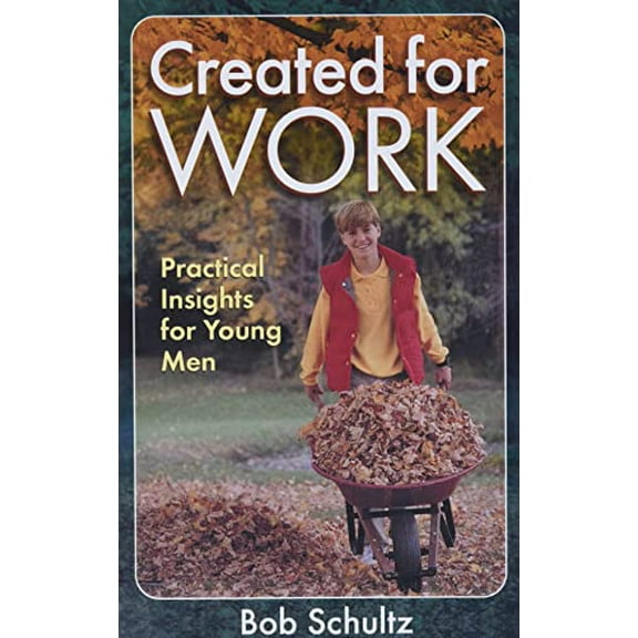 Pre-Owned Created for Work: Practical Insights for Young Men (Paperback) by Bob Schultz