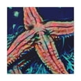thumbnail image 1 of Starfish on the Shoreline - Canvas, 1 of 10