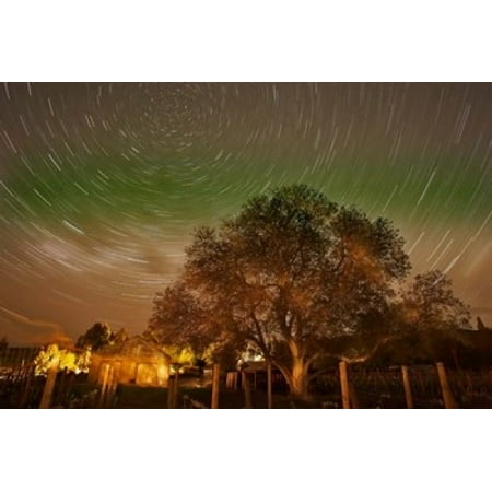 Walnut Island Light - Star Trails Over Walnut Tree Domain Road Vineyard Central Otago South Island New Zealand Stretched Canvas - David Wall DanitaDelimont (17 x 11)