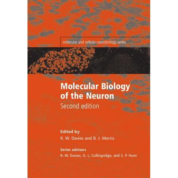 Pre-Owned Molecular and Cellular Neurobiology Molecular Biology of the Neuron, (Paperback)