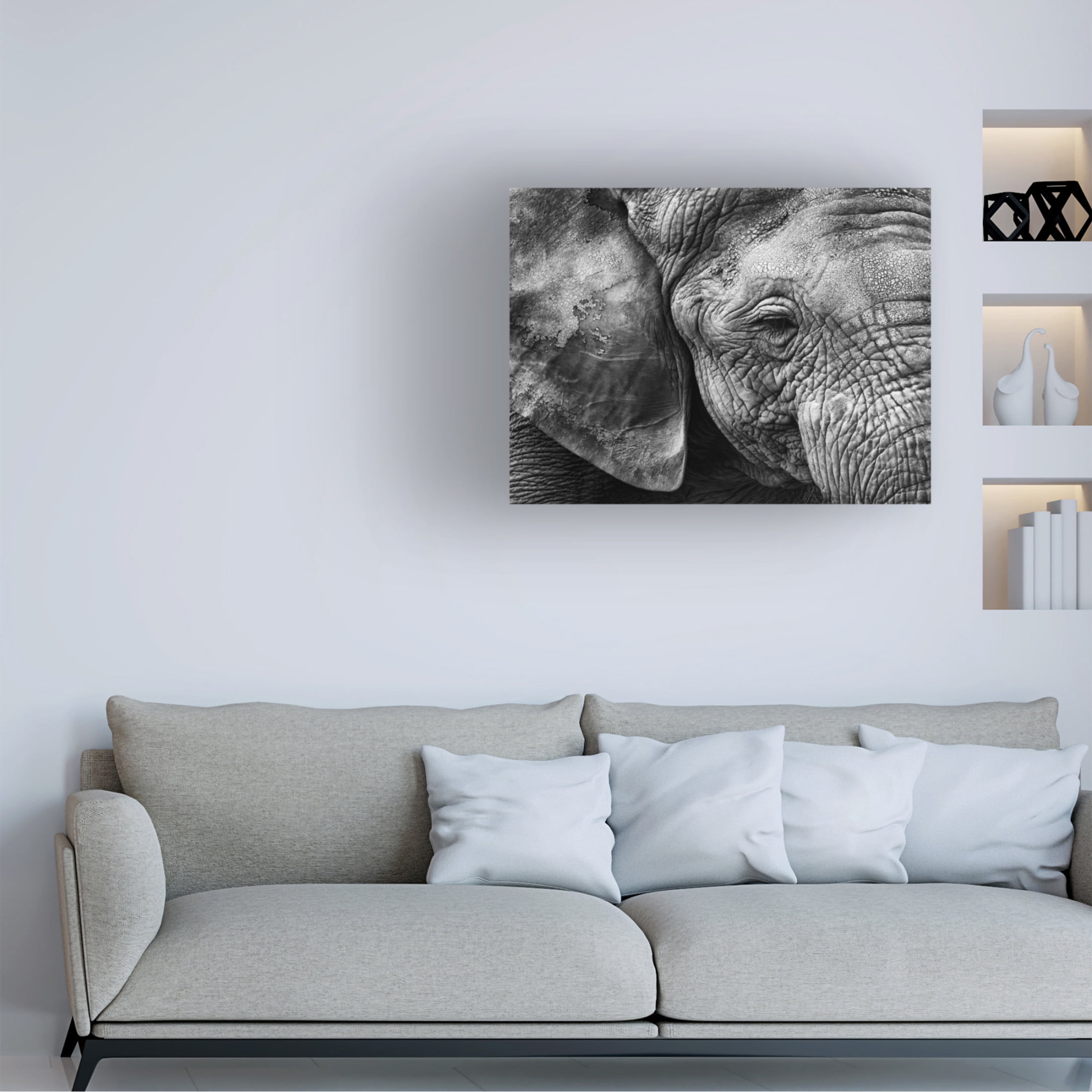 Trademark Fine Art Helena GARCIA HUERTAS Elephant Skin Canvas Wall Art
