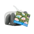 thumbnail image 3 of (2 pack) Plaid Surfaces Craft Rocks for Rock Painting Arts and Crafts Projects, Set of 6, 3 of 8