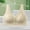 Beige, variant on Women's Bras No Wire Under $5 Fashion Lace Front Button No Steel Ring No Adjustable Underwear Daily Bra