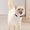 C, variant on Fokuz Stay Connected With Your Furry Advanced Pet Locator Device Real Tracking & Alerts For Peace Of Mind