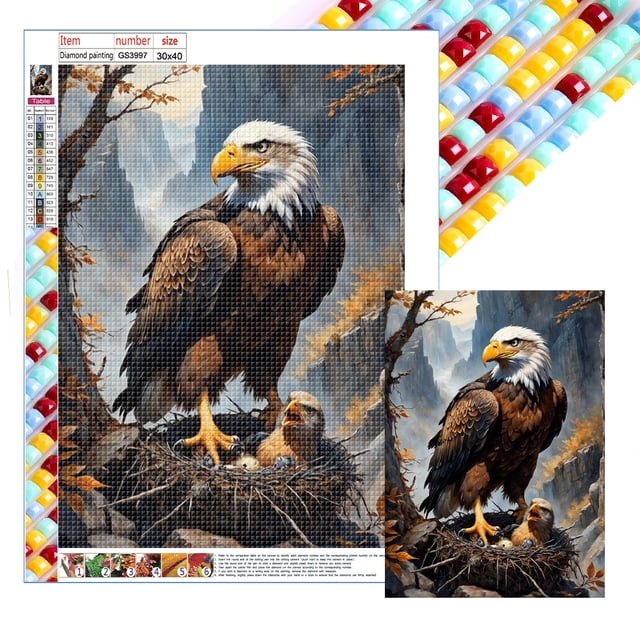 Pintura de diamante 5D DIY, kit de águila con cuentas cuadradas completas, decoración del hogar, arte artesanal, 30x40cm