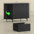 thumbnail image 6 of SEDETA 39.4" Filing Cabinet for Home Office, 2 Drawer File Cabinet, fit Legal/Letter/A4 Size, Modern Fluted Filing Cabinets with 2 Sliding Door Storage, Printer Stand, Black, 6 of 8
