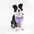 thumbnail image 6 of THE LICKER STORE Arlo Large Adjustable Soft Padded No Pull Pet Harness with 3 Buckles and 3 Leash Clips, Purple, HNS1003H, 6 of 8