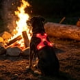 thumbnail image 4 of Dog Reflective Harness Vest for Night Walk, Light Up Safety Vest for Small Medium Breed, Adjustable Straps for Secure Fit, Breathable Mesh Fabric, 4 of 6