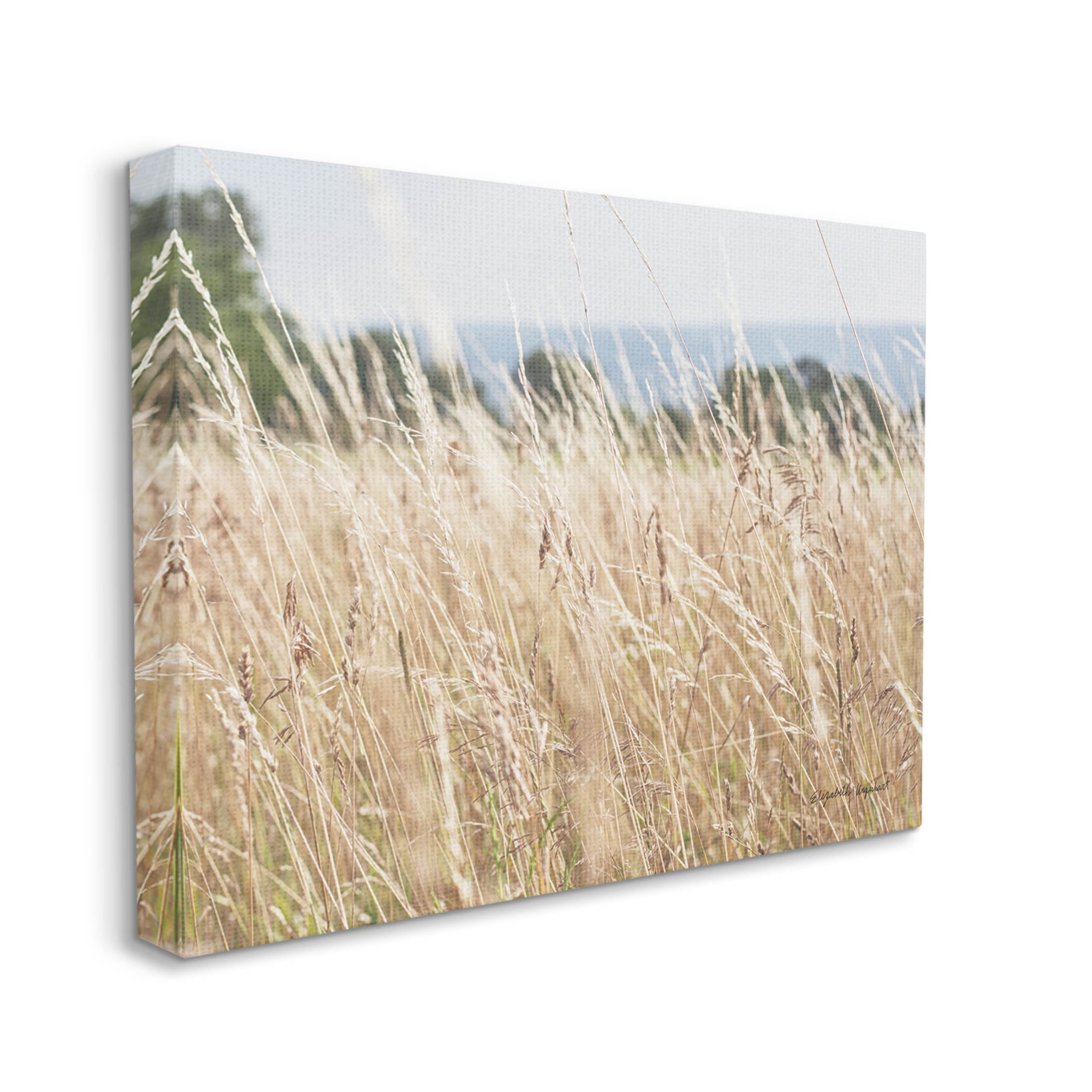 Stupell Industries Rural Wheat Field Spring Breeze Photograph Gallery Wrapped Canvas Print Wall Art, Design by Elizabeth Urquhart