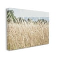 thumbnail image 3 of Stupell Industries Rural Wheat Field Spring Breeze Photograph Gallery Wrapped Canvas Print Wall Art, Design by Elizabeth Urquhart, 3 of 7