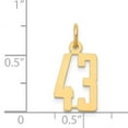 thumbnail image 4 of 14K Yellow Gold Polished Finish Small Size Elongated Shape Number 43 Charm Pendant, 4 of 4