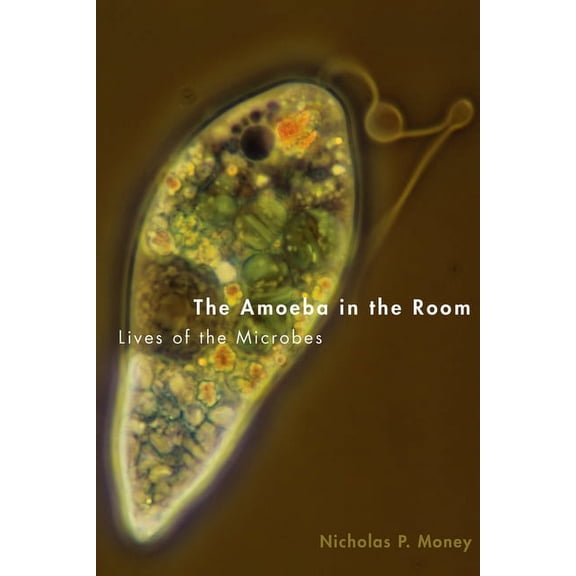 Amoeba in the Room: Lives of the Microbes, (Hardcover)