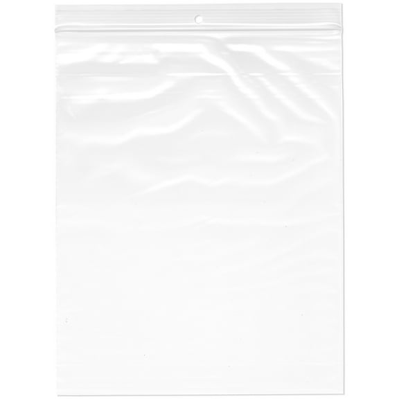 Plymor 8" x 10" (Pack of 100), 2 Mil with Hang-Hole Zipper Reclosable Plastic Bags