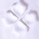 thumbnail image 3 of Xihbxyly Dia Del Primer Ministro 100 Rosa Artificials, Plantas Artificiales, Bodas Decorativas y San Valentín, 3 of 3