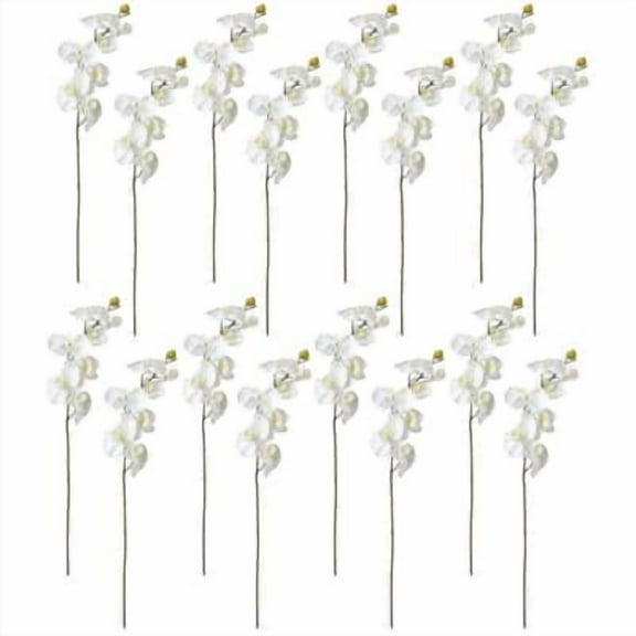 16 Pack: White Moth Orchid Stem by Ashland®