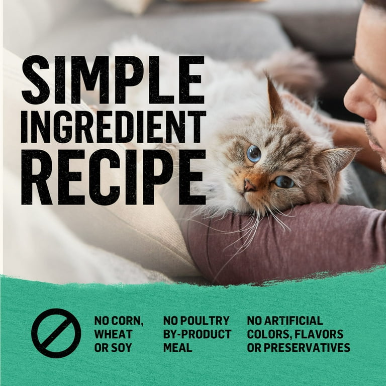 Best Natural Dry Cat Food