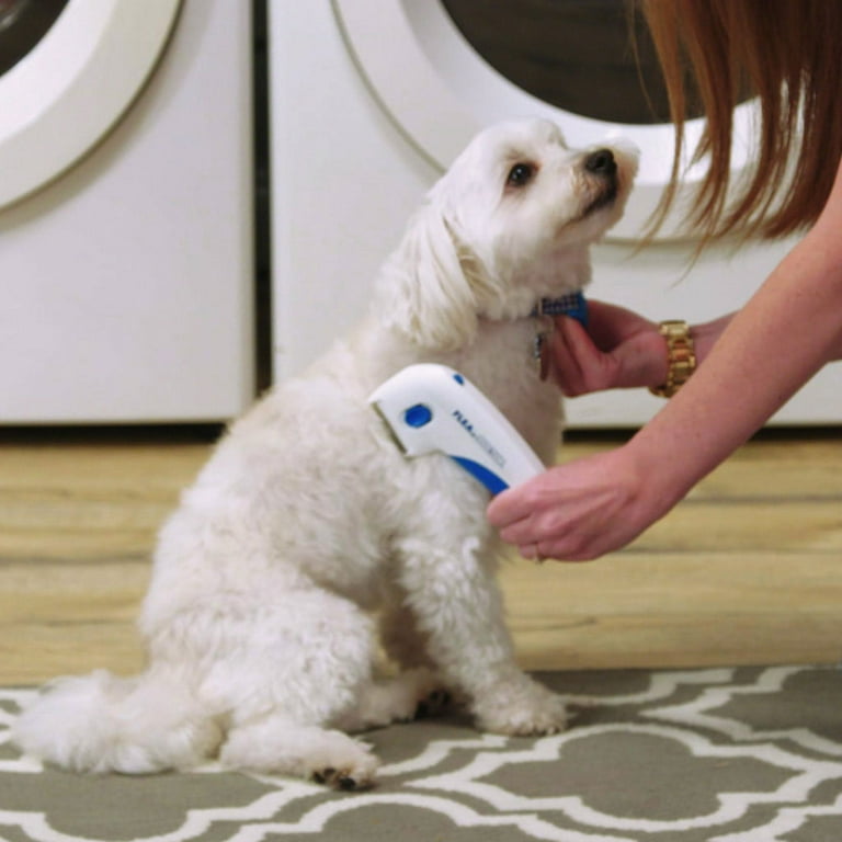 Flea Doctor Electronic Flea Comb for Dogs Cats Walmart