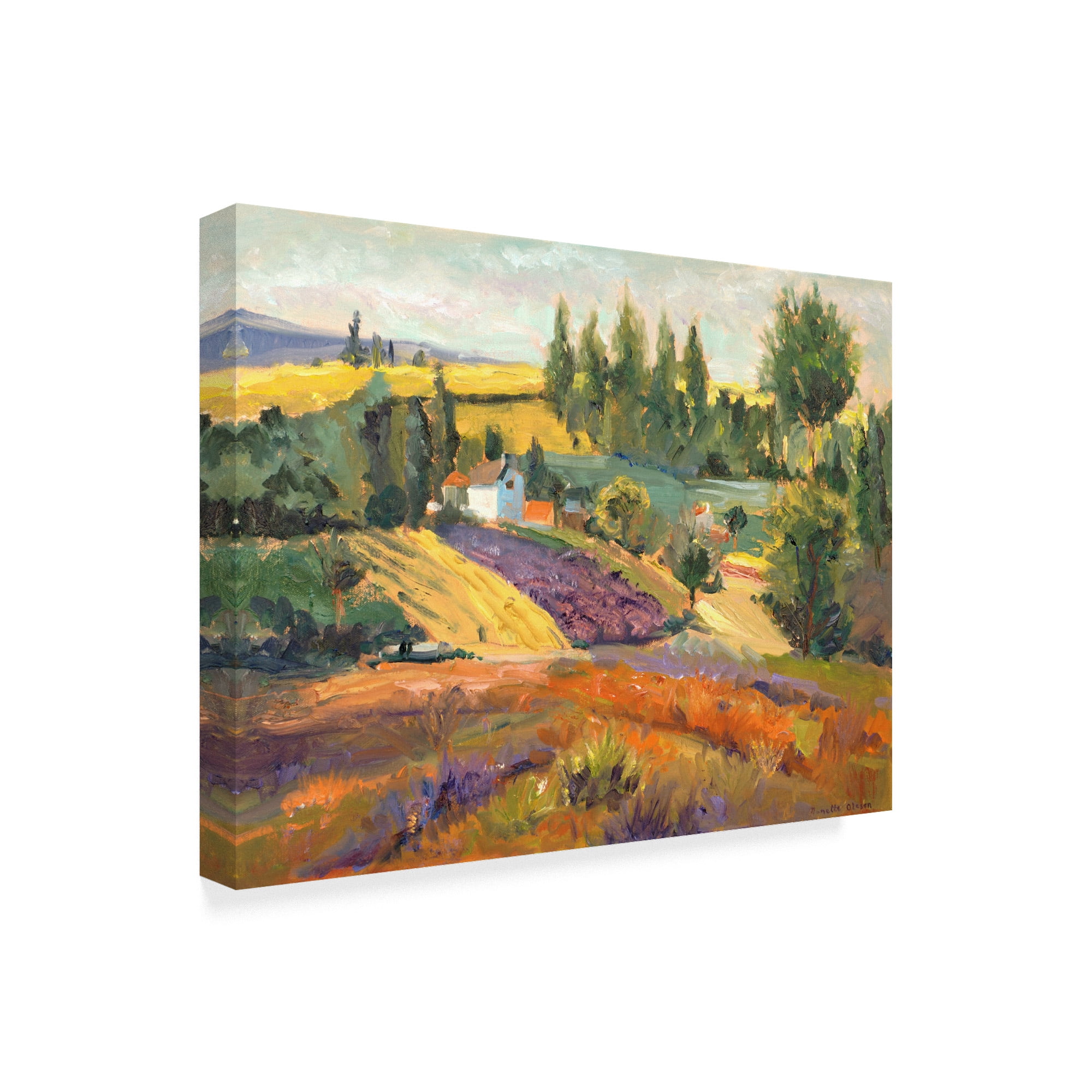 Trademark Fine Art 'NC Vineyard Tapestry II' Canvas Art by Nanette Oleson