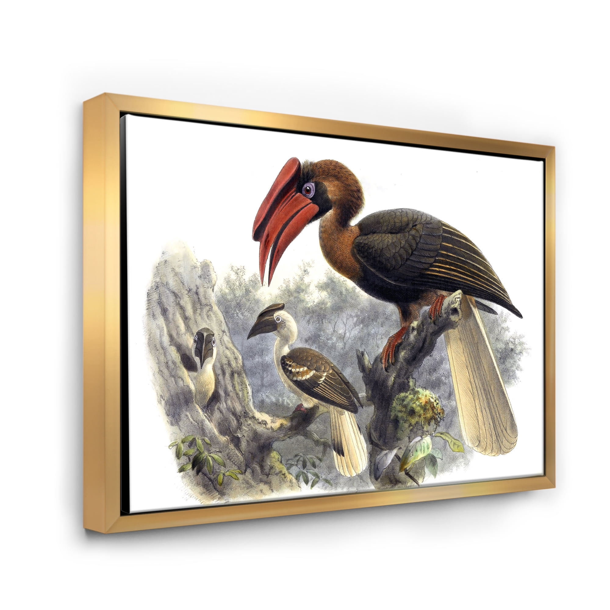 Designart 'Ancient Australian Birds XI' Traditional Framed Canvas Wall Art Print