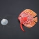 thumbnail image 5 of Peces de simulación, adorno para pecera, adorno para pecera de acuario, rendimiento de peces artificiales impulsado, 5 of 7