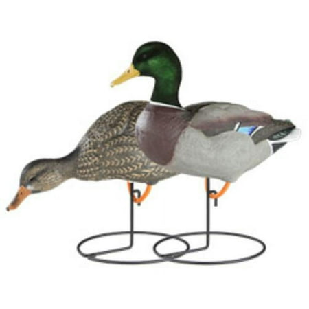 Dakota Decoy X-Treme Full Body Mallard Duck Decoys 6 Pack