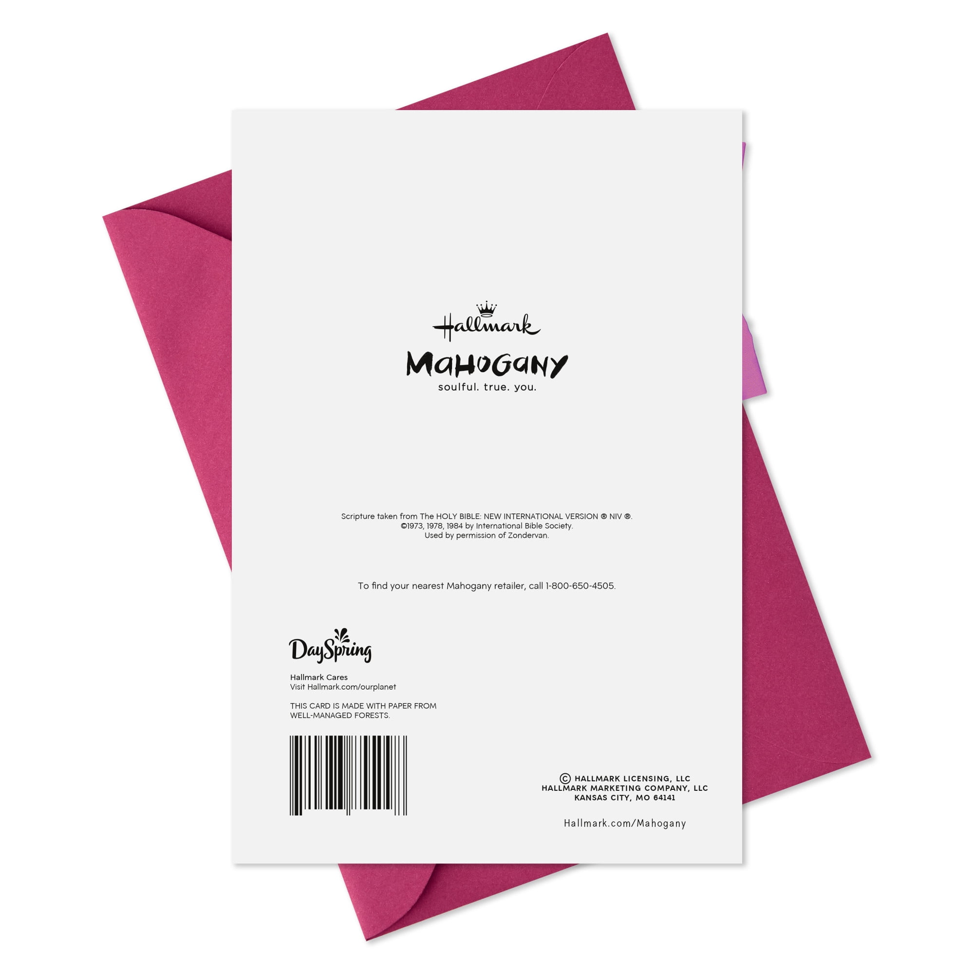 DaySpring Mahogany Religious Birthday Card (Brighten Our Lives Year After Year)