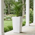 thumbnail image 2 of Algreen Modena 30-In. Square Taper Planter, Self-Watering, Glossy White, 2 of 6