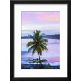 thumbnail image 2 of Costa Rica, Cahuita, Cahuita National Park, Lowland Tropical Rainforest, Caribbean Coast, Dawn, Scenic Framed Art Print Wall Art by John Coletti Sold by ArtCom, 2 of 6