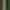 Green Copper, variant on Green Copper, Rust-Oleum Color Shift Spray Paint-372478, 11 oz