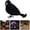 B, variant on Clearance Under $1.49! 1 Pack Plastic Realistic Crow Figurine, Lifelike Halloween Decoration Bird