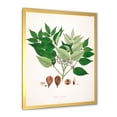 thumbnail image 2 of Designart 'Ancient Plant Life XII' Farmhouse Framed Art Print, 2 of 4