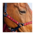 thumbnail image 2 of Hy Thelwell Collection Balancing Act Head Collar & Lead Rope, 2 of 4