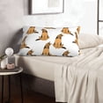 thumbnail image 5 of Plush Throw Pillow Covers, German Shepherd Dog No.1010 Pillow Cases with Invisible Zipper, Breathable Microfiber Pillow Cases Standard Size for Sleeping Bedroom Sofa Living Room 14x20, 5 of 5