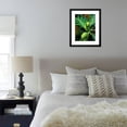 thumbnail image 5 of Breadfruit tree on Jamaica, Botanical Scenic Framed Art Print Wall Art by Rainer Hackenberg Sold by Art.Com, 5 of 5