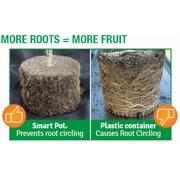 Smart Pot 15 Gallon Fabric Planter, 3-pack