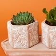 thumbnail image 3 of Small Butterfly Hex Terracotta Pot Tray Set, 3 of 4