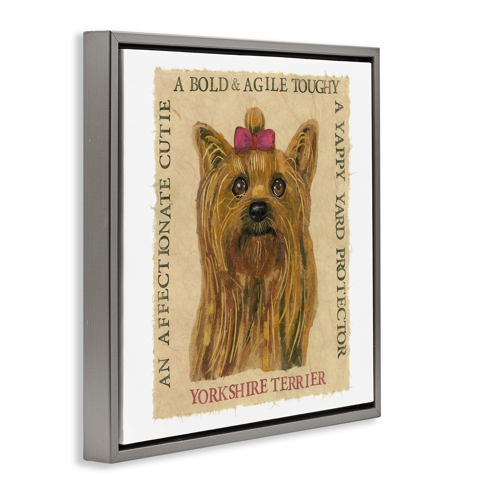 Stupell Industries Fun Yorkshire Terrier Phrases Animals Painting Gray Floater Framed Canvas Art Print Wall Art, 25 x 25